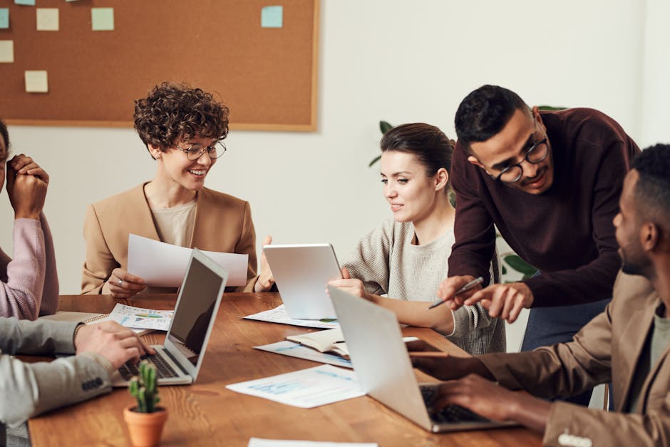 curriculum management tools