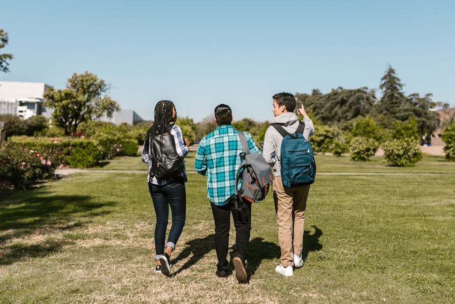 Improving student experience